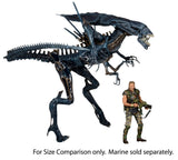 NECA Aliens Ultra Deluxe Boxed Action Figure – Xenomorph Queen