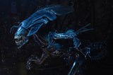 NECA Aliens Ultra Deluxe Boxed Action Figure – Xenomorph Queen
