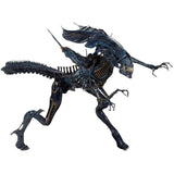 NECA Aliens Ultra Deluxe Boxed Action Figure – Xenomorph Queen