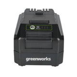 Greenworks 2949602AZ Lithium Ion Battery, 24 Volt